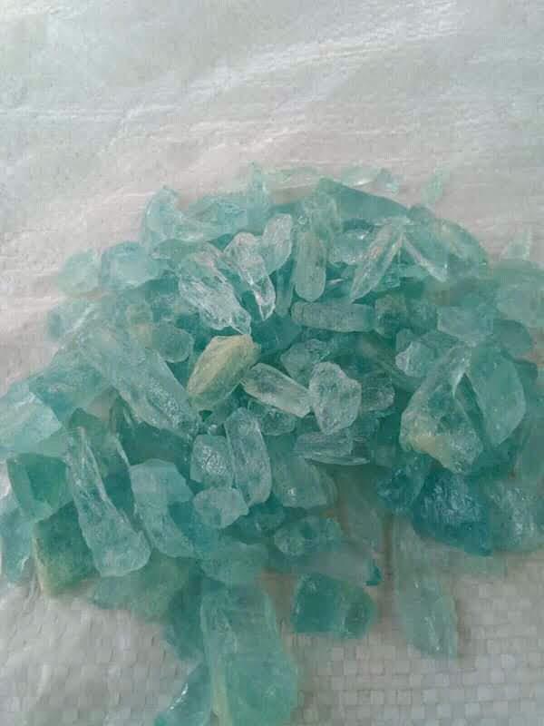 IMG-20250317-WA0002