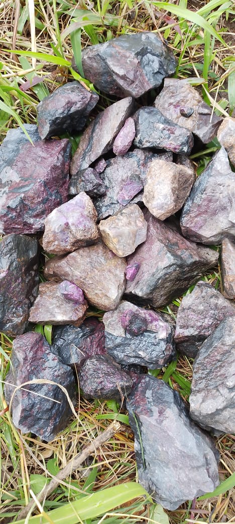 IMG-20250317-WA0003